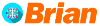 BRIAN - The Social Intelligence Company 