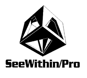 SEEWITHIN/PRO 