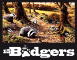 15 Badgers 