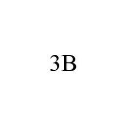 3B 