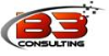 B3 Consulting 
