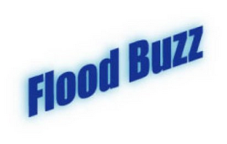 FLOOD BUZZ 