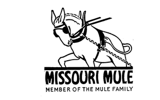 MISSOURI MULE MEMBER OF THE MULE FAMILY 