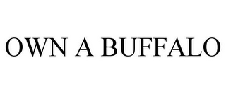 OWN A BUFFALO 