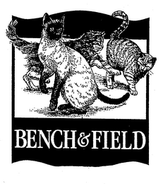 BENCH & FIELD 