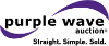 Purple Wave, Inc. 