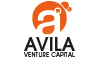 Avila Venture Capital 