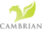Cambrian Solutions Inc. 