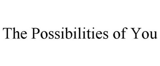 THE POSSIBILITIES OF YOU 