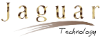 Jaguar Technology Group, LLC 