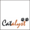 Catalyst Consulting Services 