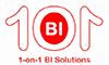 1-on-1 BI Solutions 