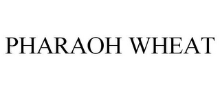 PHARAOH WHEAT 