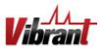 Vibrant Corporation 