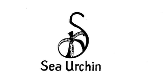 SEA URCHIN 