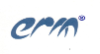 ERM Placement Services (P) Ltd 
