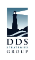 DDS Strategies Group 