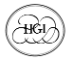 The Henley Group International 
