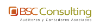 BSC Consulting / Alvarez, Castillo & Asociados 