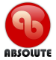 ABSOLUTE INDUSTRY (CHINA) CO.,LIMITED 