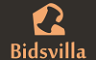 Blue Villa Trade and Auctions Private Limited (Bidsvilla) 