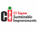 CI Sigma - Sustainable Improvements 