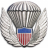 U.S. Parachute Association (USPA) 