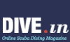 DIVE.in Scuba Diving Magazine 