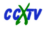cctvX Ltd 
