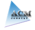 ACM Consult 
