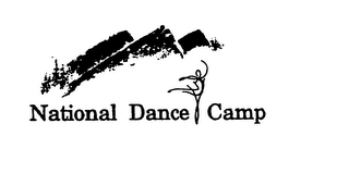 NATIONAL DANCE CAMP 