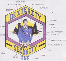 DEXTERITY SECURITY INC 