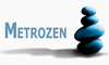 Metrozen Inc 