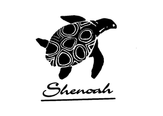 SHENOAH 