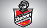 Ziebart International 