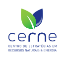 CERNE - Centro de Estrategias em Recursos Naturais e Energia 