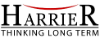 Harrier IT Services 