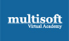 Multisoft Virtual Academy 