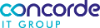 Concorde IT Group 