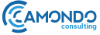 Camondo Consulting 