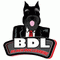 Black Dog Learning LLC 