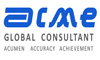 Acme Global Consultant 