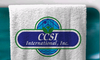 Ccsi International Inc 