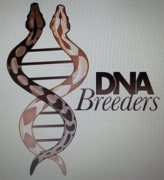 DNA BREEDERS 