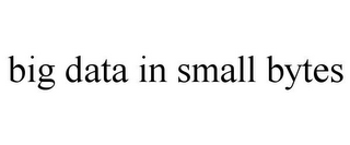 BIG DATA IN SMALL BYTES 