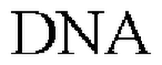 D.N.A. 