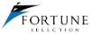 Fortune Selection - Executive Search 