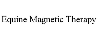 EQUINE MAGNETIC THERAPY