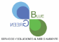 BLUE & GREEN SERVICIOS Y SOLUCIONES AL MEDIO AMBIENTE S.A. DE C.V. 