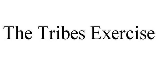 THE TRIBES EXERCISE 